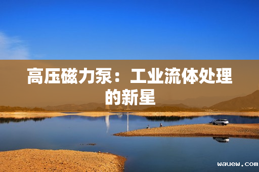 高压磁力泵：工业流体处理的新星