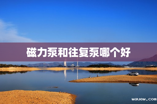 磁力泵和往复泵哪个好