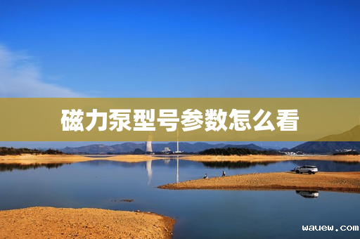 磁力泵型号参数怎么看