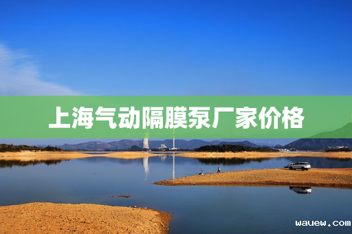 上海气动隔膜泵厂家价格