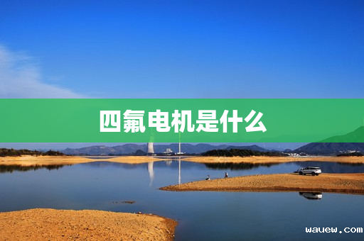 四氟电机是什么