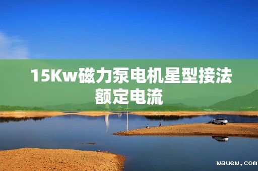  15Kw磁力泵电机星型接法额定电流