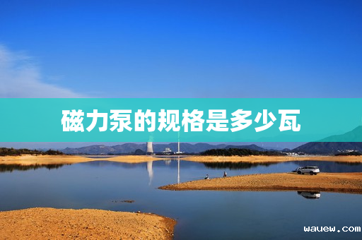 磁力泵的规格是多少瓦