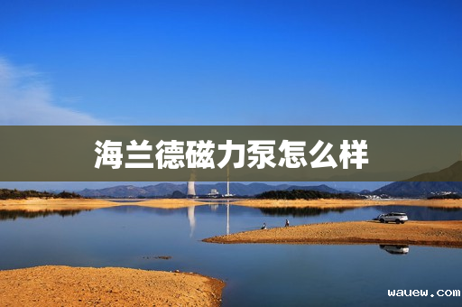 海兰德磁力泵怎么样