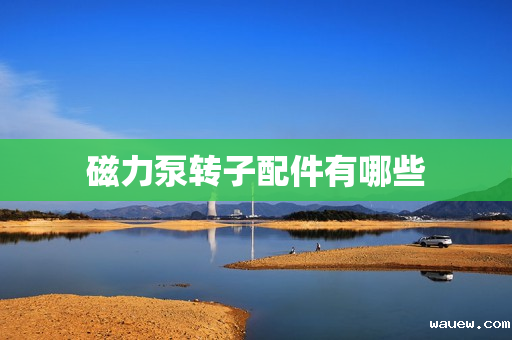 磁力泵转子配件有哪些