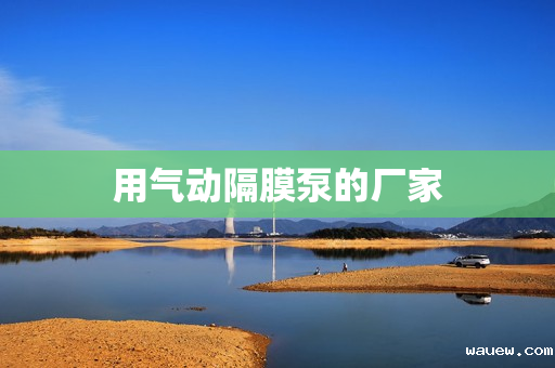 用气动隔膜泵的厂家