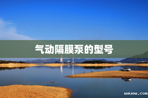 气动隔膜泵的型号