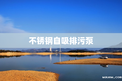 不锈钢自吸排污泵