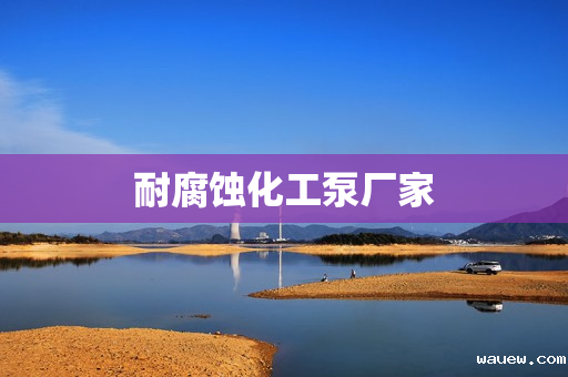 耐腐蚀化工泵厂家