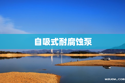 自吸式耐腐蚀泵