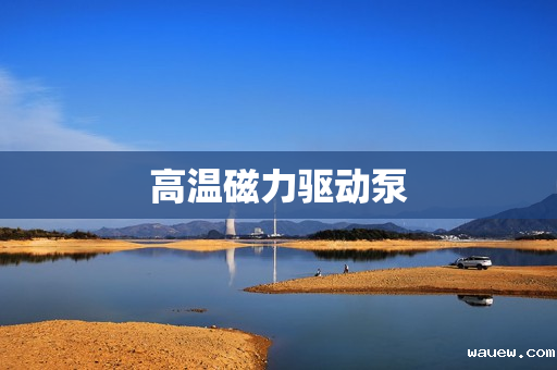 高温磁力驱动泵