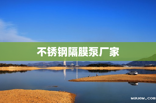 不锈钢隔膜泵厂家