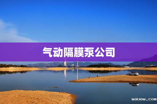气动隔膜泵公司