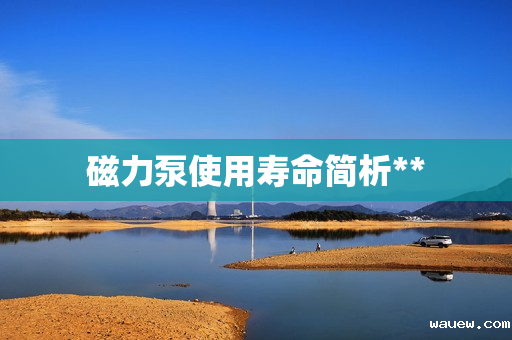 磁力泵使用寿命简析**