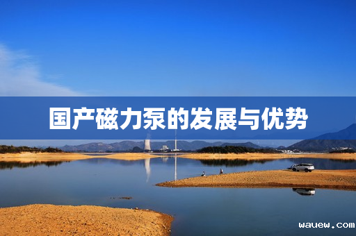 国产磁力泵的发展与优势