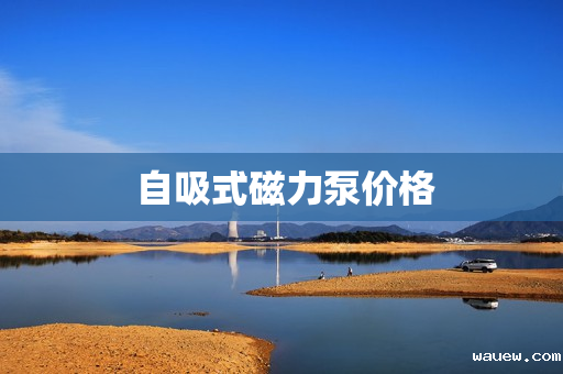  自吸式磁力泵价格