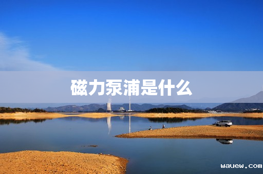 磁力泵浦是什么