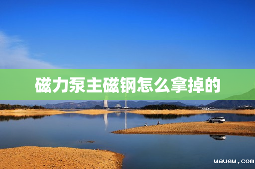 磁力泵主磁钢怎么拿掉的