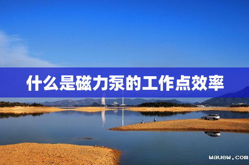 什么是磁力泵的工作点效率