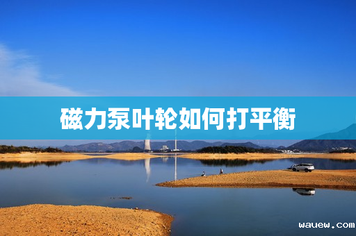 磁力泵叶轮如何打平衡