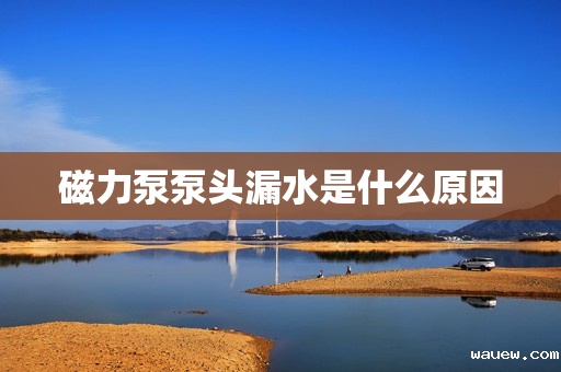 磁力泵泵头漏水是什么原因