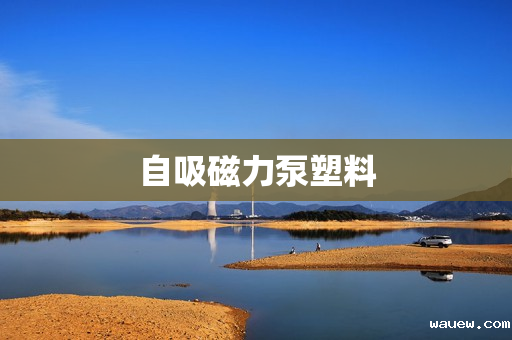 自吸磁力泵塑料