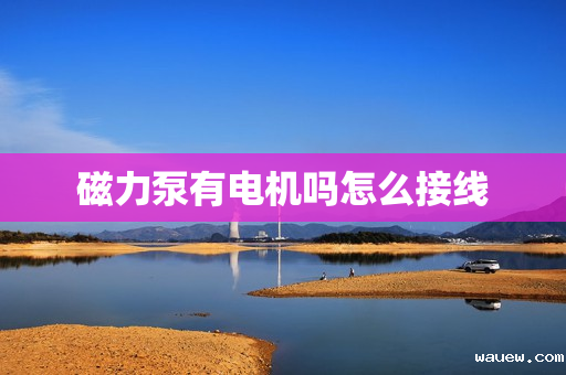 磁力泵有电机吗怎么接线