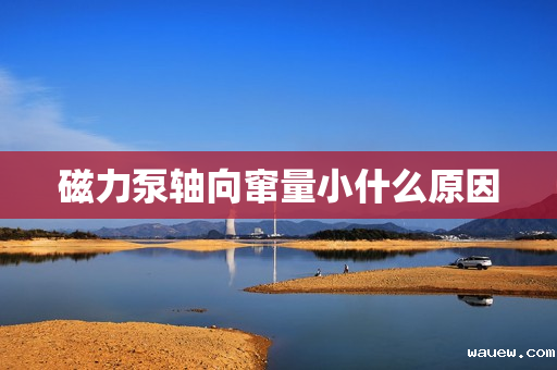 磁力泵轴向窜量小什么原因