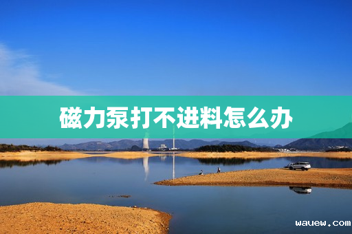 磁力泵打不进料怎么办