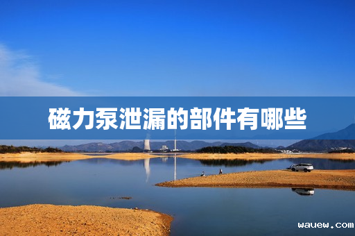 磁力泵泄漏的部件有哪些