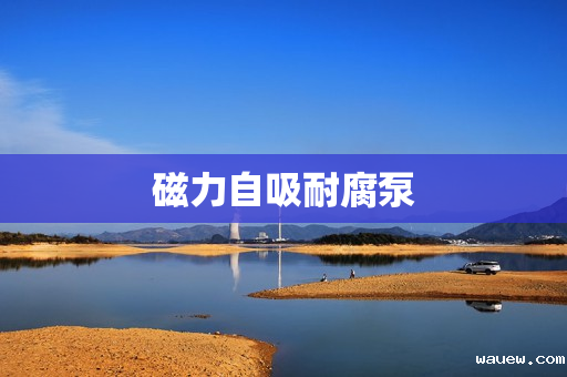 磁力自吸耐腐泵