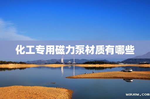 化工专用磁力泵材质有哪些