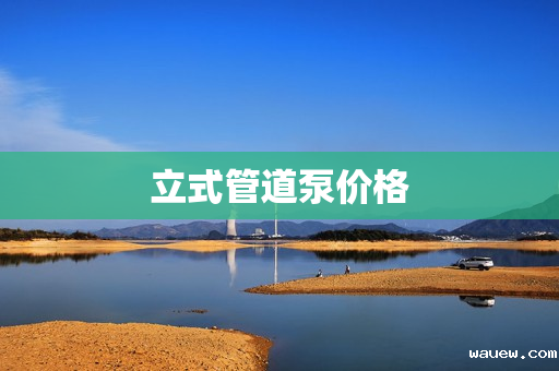 立式管道泵价格