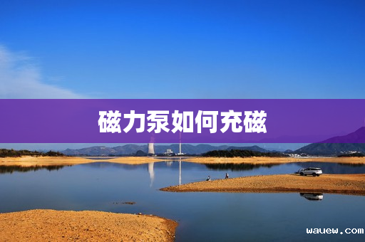 磁力泵如何充磁