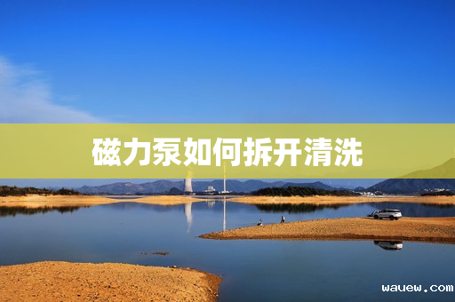 磁力泵如何拆开清洗