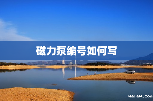 磁力泵编号如何写