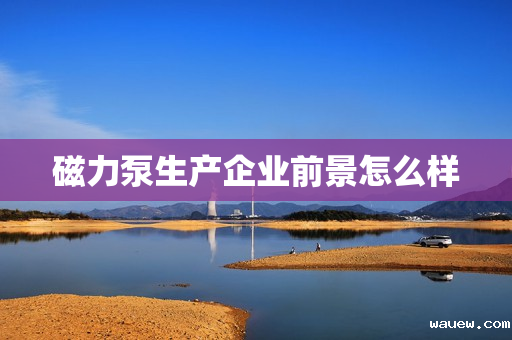 磁力泵生产企业前景怎么样