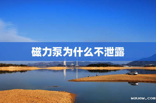 磁力泵为什么不泄露