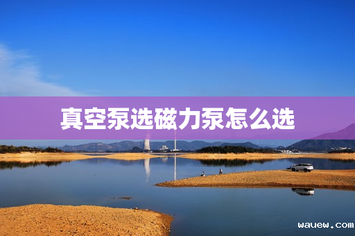 真空泵选磁力泵怎么选