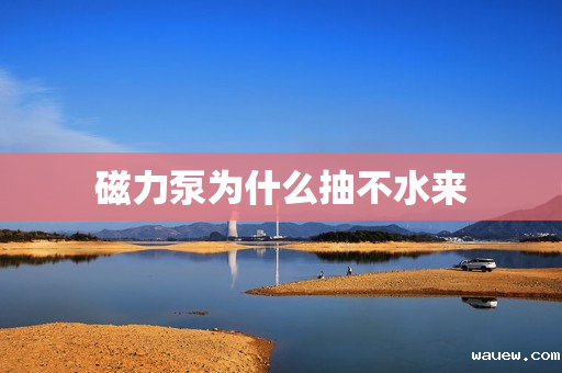 磁力泵为什么抽不水来