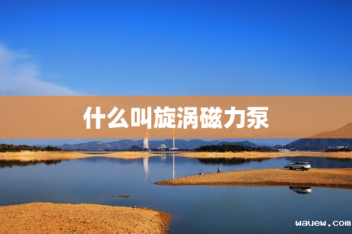 什么叫旋涡磁力泵