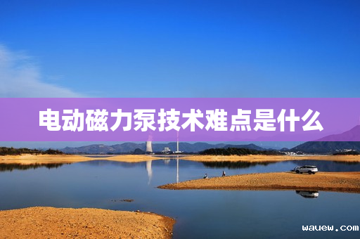 电动磁力泵技术难点是什么