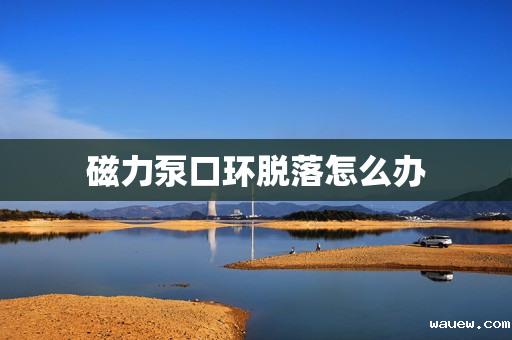 磁力泵口环脱落怎么办