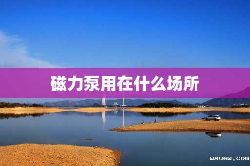 磁力泵用在什么场所