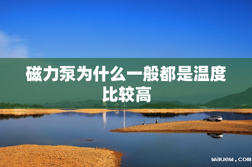 磁力泵为什么一般都是温度比较高