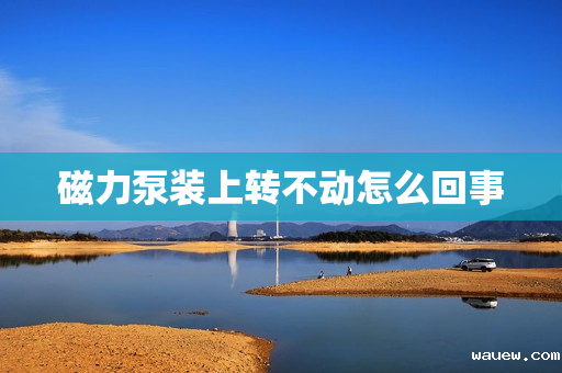 磁力泵装上转不动怎么回事