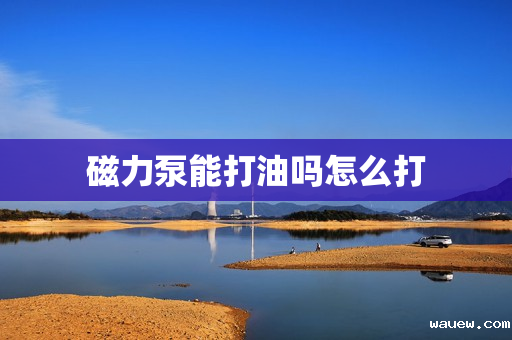 磁力泵能打油吗怎么打