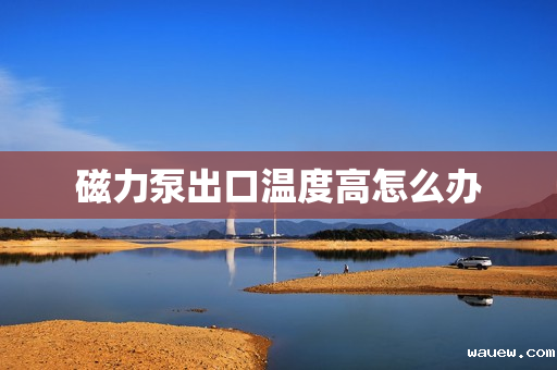 磁力泵出口温度高怎么办