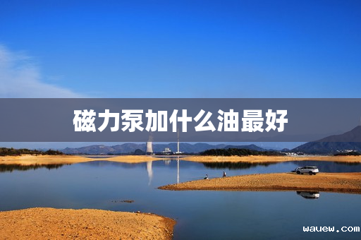 磁力泵加什么油最好