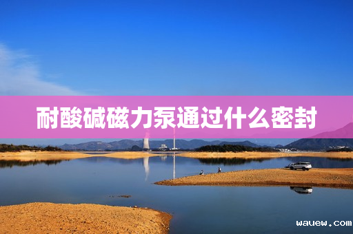 耐酸碱磁力泵通过什么密封